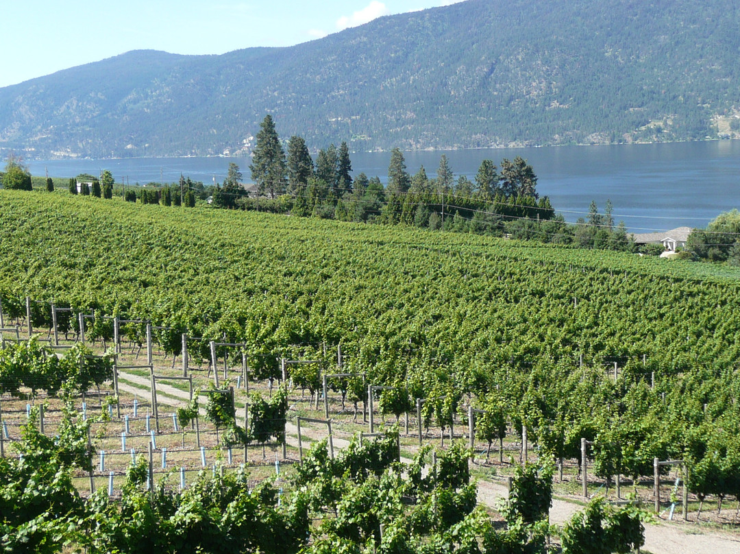 Gray Monk Estate Winery-Lake Country必去景点