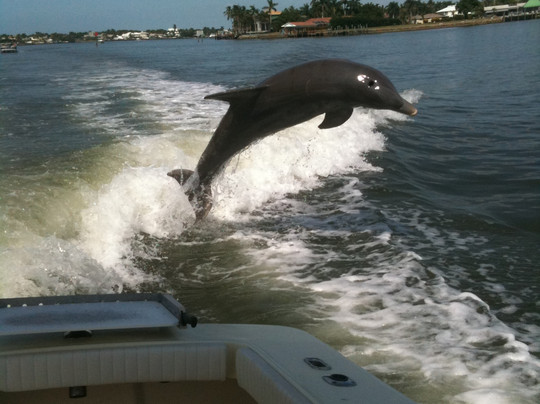 Captain Eric Inc.-那不勒斯必去景点