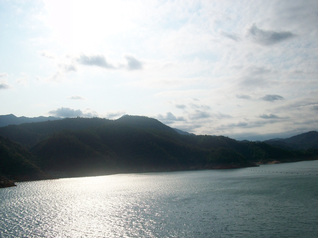 万绿湖景点图片