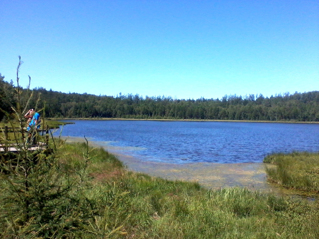 阿尔山国家森林公园-阿尔山市必去景点