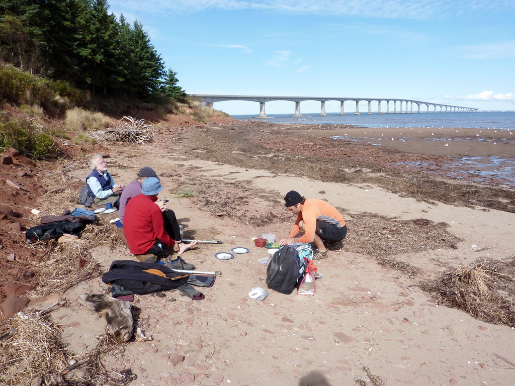 Acadian Coast Kayak Adventures-Baie Verte必去景点