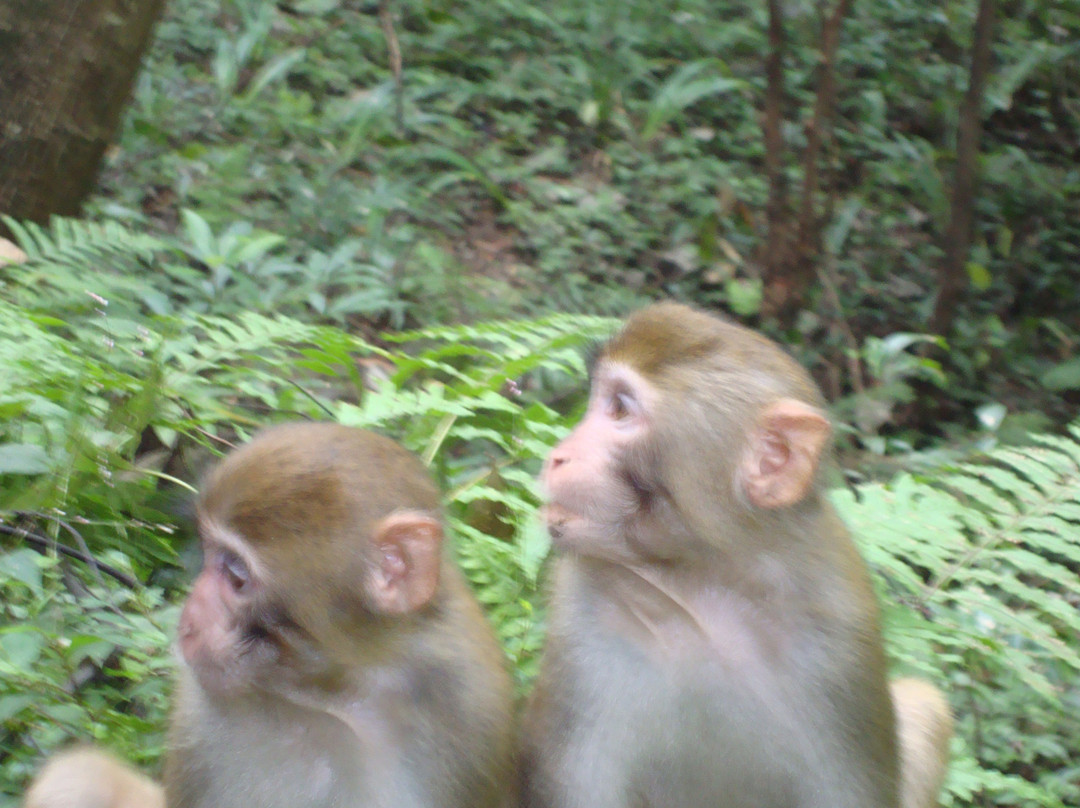 张家界仙人溪-张家界市必去景点