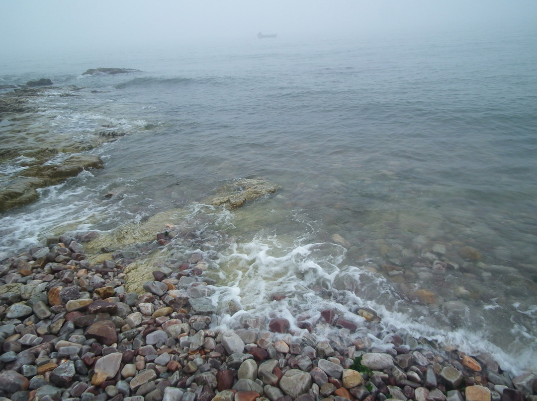 烟台长岛万鸟岛-长岛县必去景点