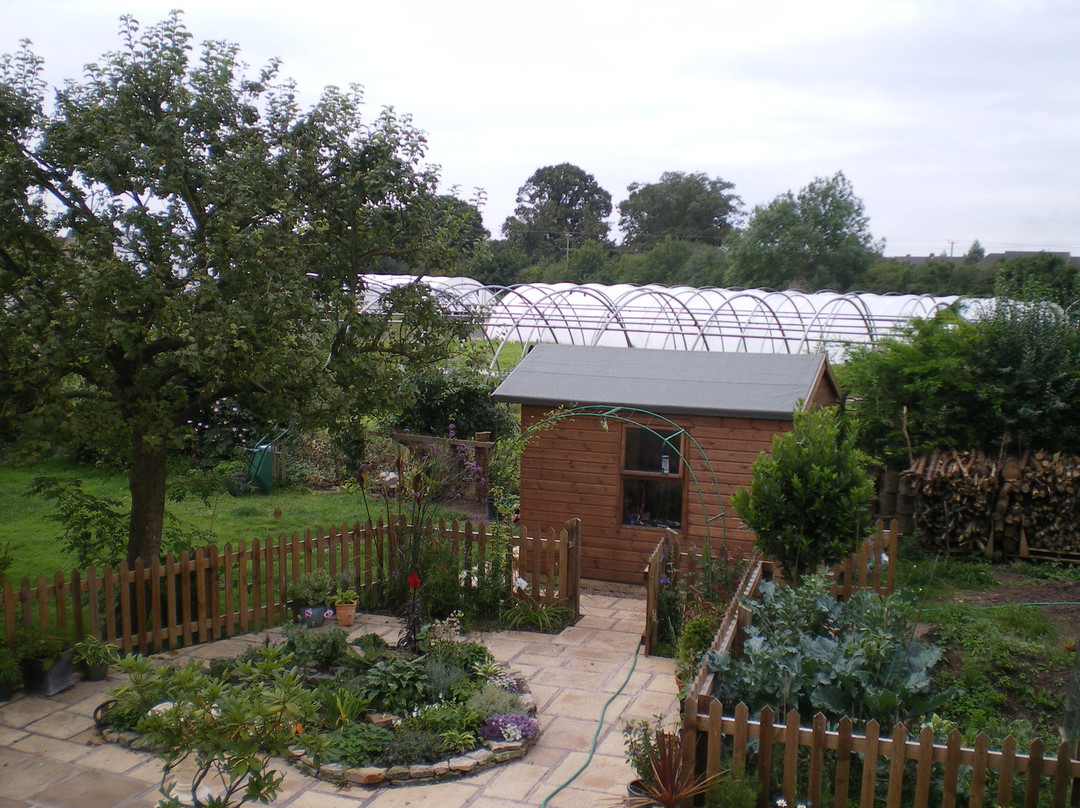 Staunton酒店住宿-Nutshell Cottage