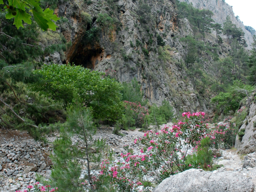 Agia Irini Gorge-Sougia必去景点
