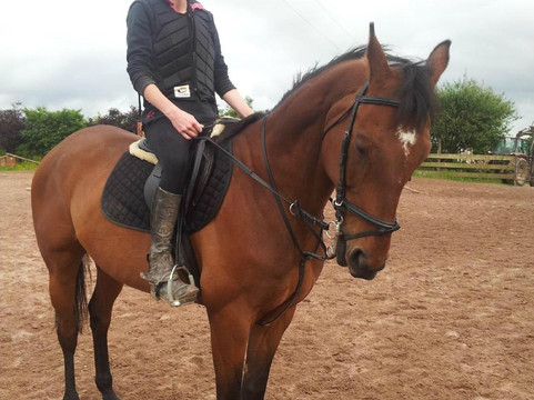 Lucky Meadows Equestrian Centre-科克必去景点