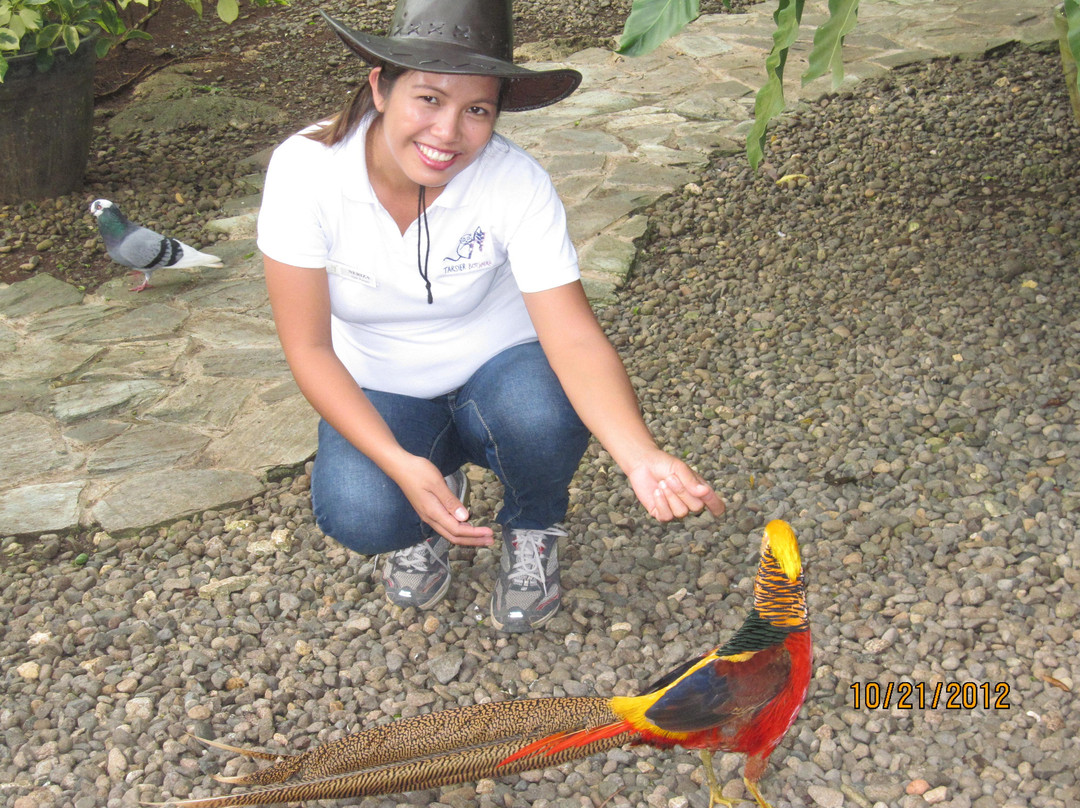 Tarsier Botanika-邦劳岛必去景点