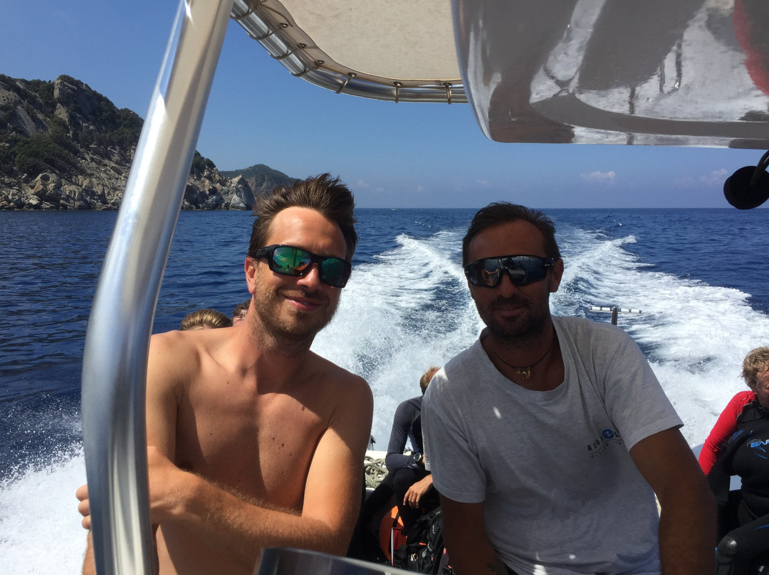 Diving in Elba Biodola景点图片