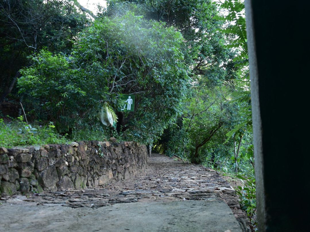 Nature's Cottages