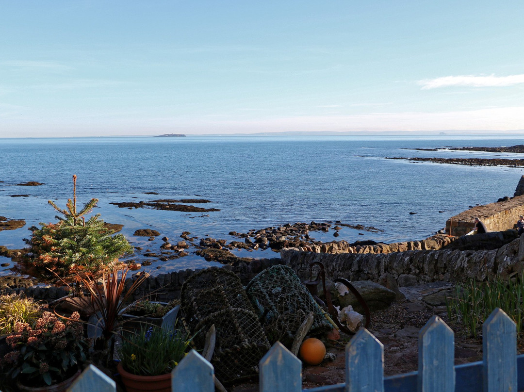 Crail餐馆和美食-Crail Harbour Gallery