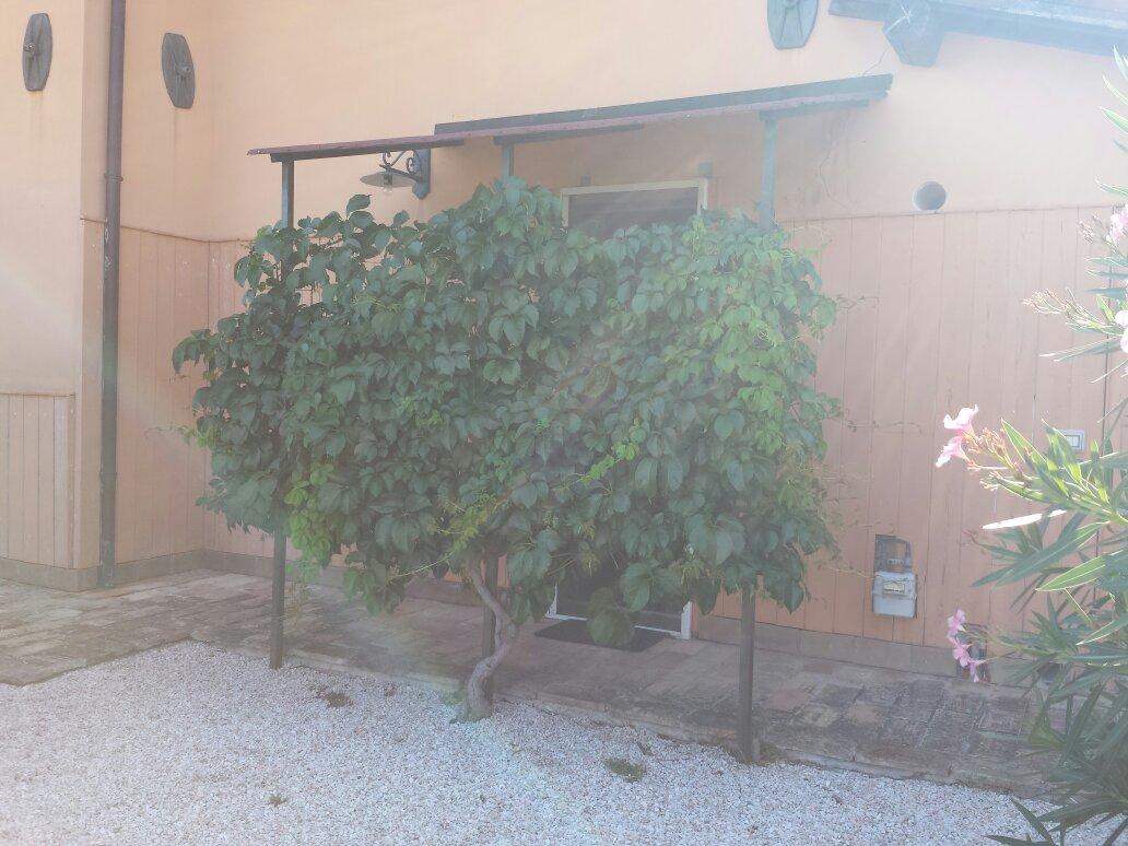 B&B Gli Oleandri-客卧