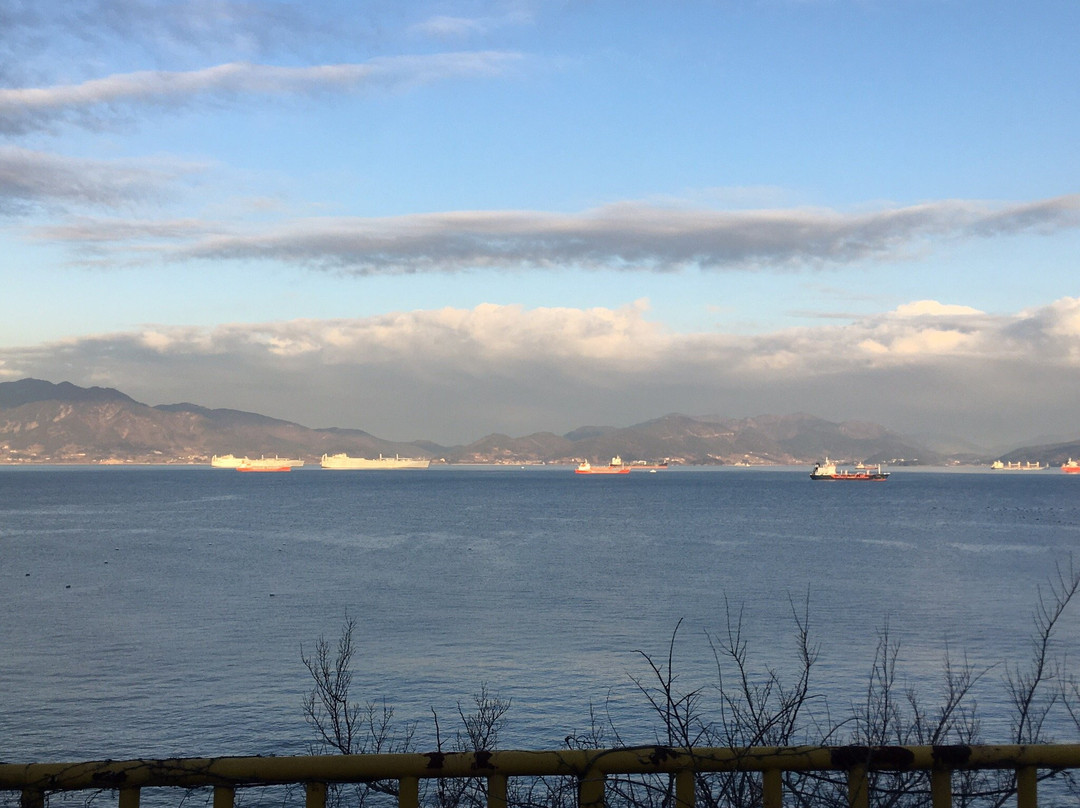Yeosu Ocean Rail Bike-丽水市必去景点