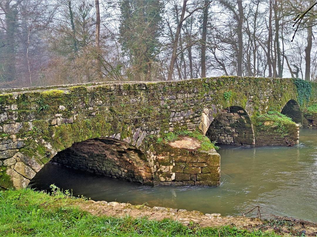 Le Pont Romain景点图片