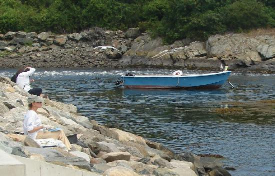 滨海大道-纽波特必去景点