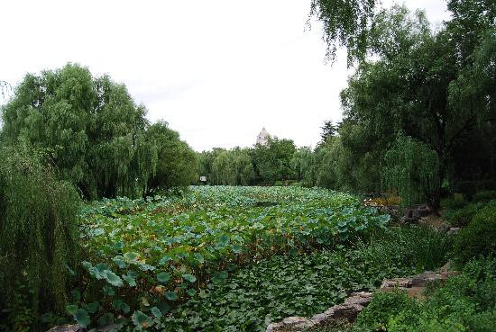 紫竹院公园-北京市必去景点