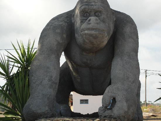 Parque Zoológico De Lagos景点图片