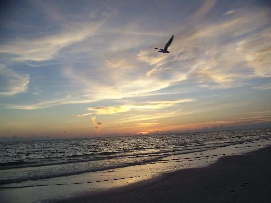 午休海滩-西耶斯塔岛必去景点