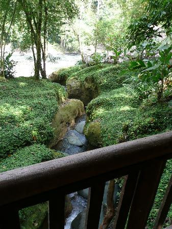 Rios Tropicales景点图片