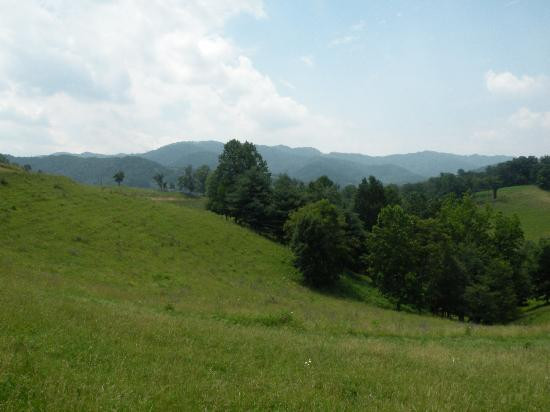 Sandy Bottom Trail Rides景点图片
