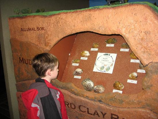 River Discovery Center Inland Waterways Museum-帕迪尤卡必去景点