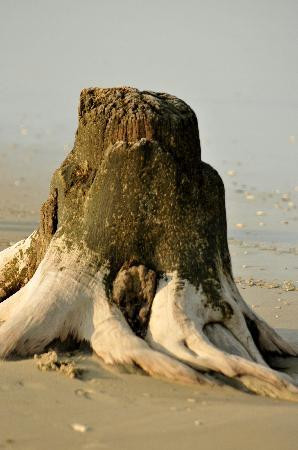 野马冒险之旅-卡罗拉必去景点