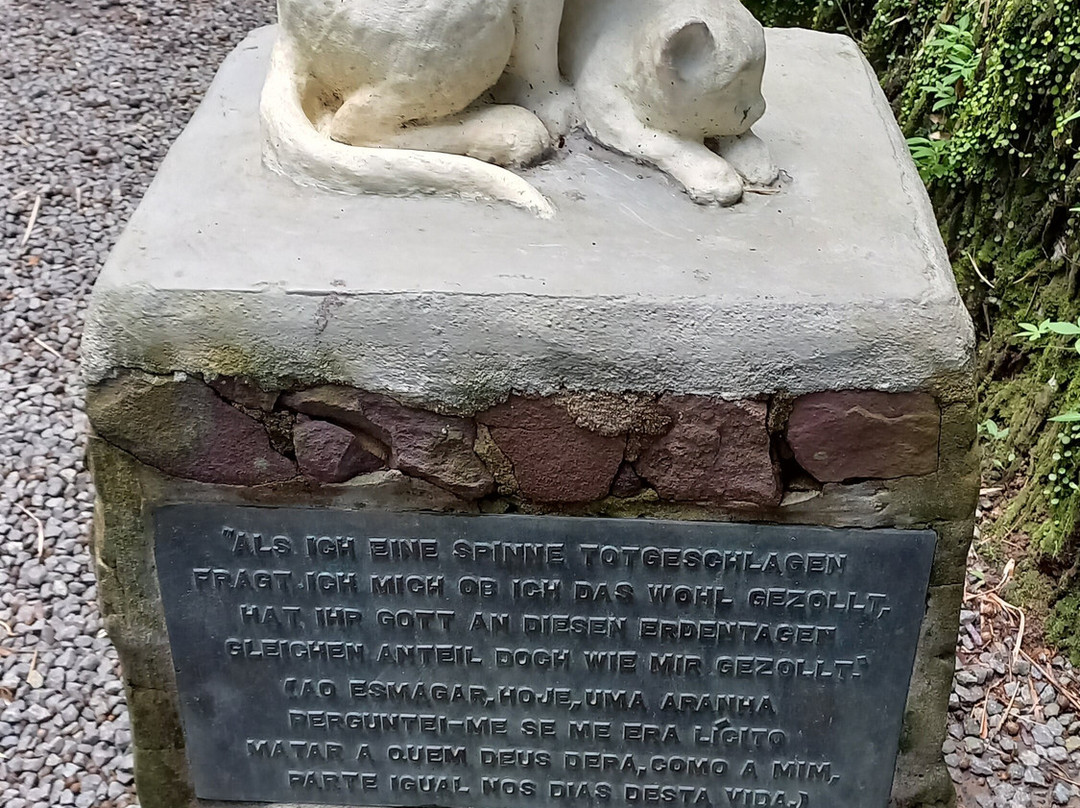 Cemiterio De Gatos-Blumenau必去景点