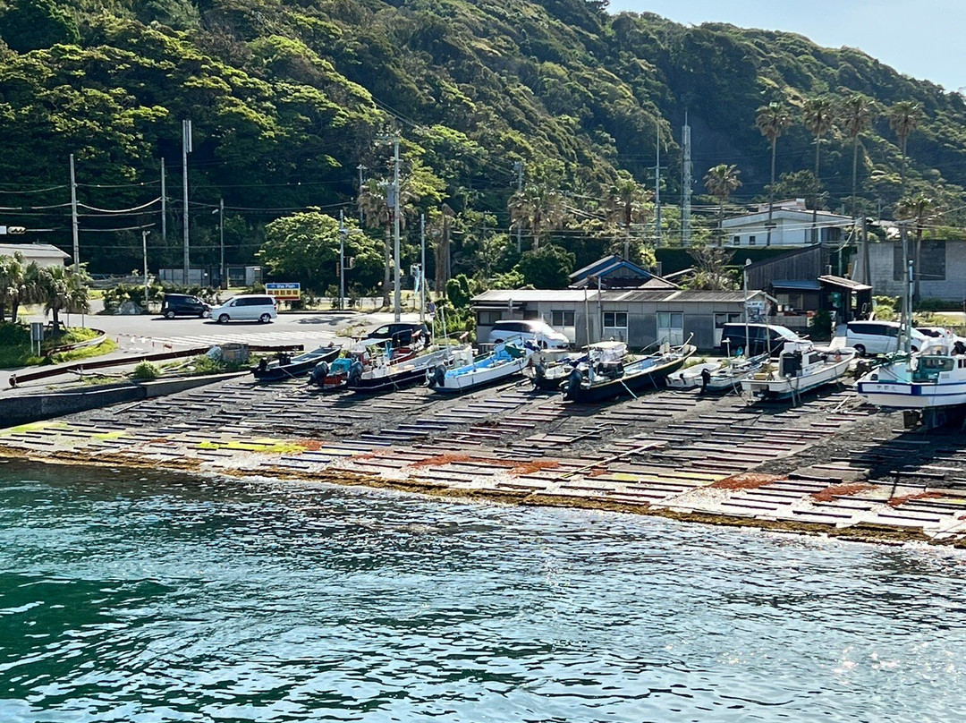 Tokyowan Ferry景点图片