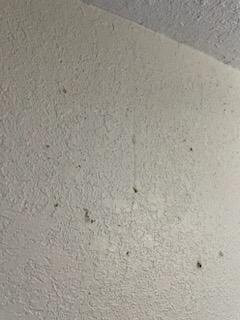 Sleep Inn Beaufort主图