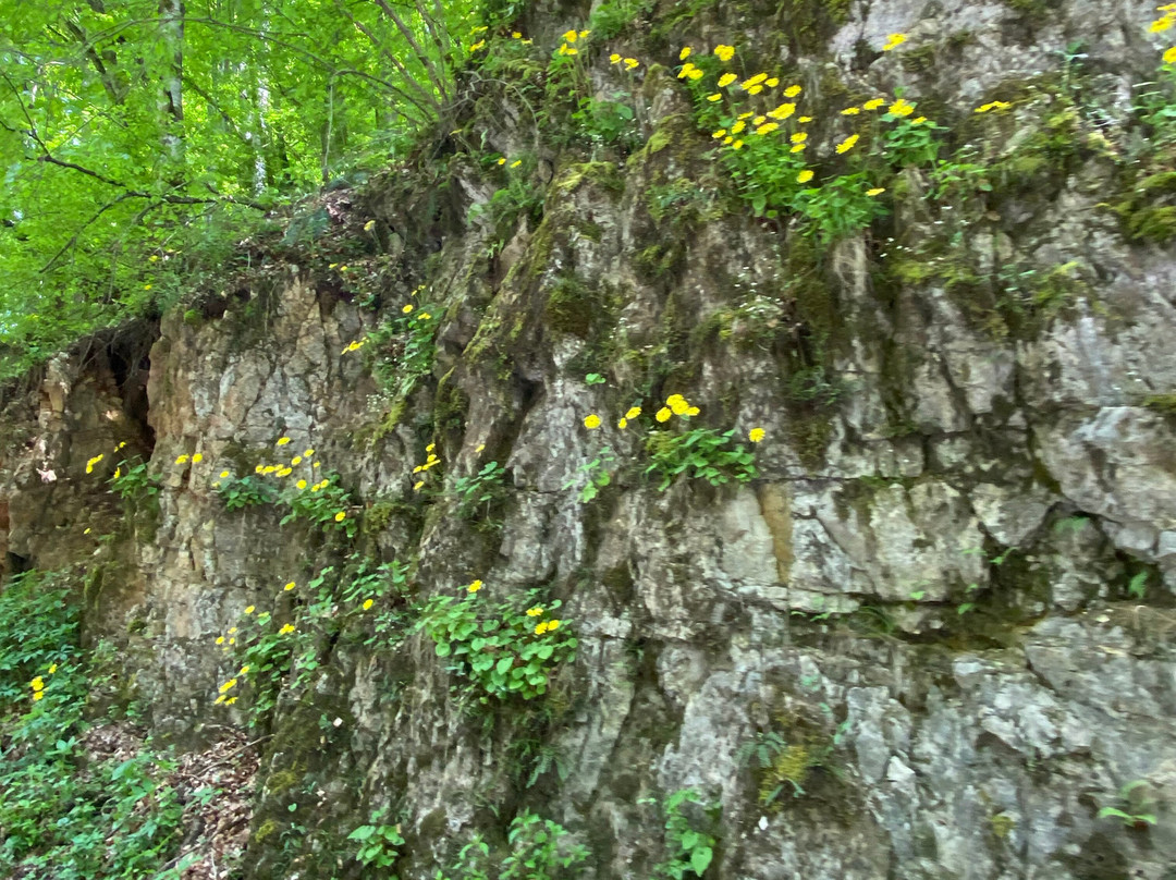 Albioara Gorge景点图片