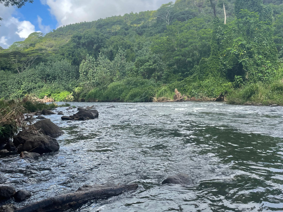 Rainbow Kayak Tours景点图片