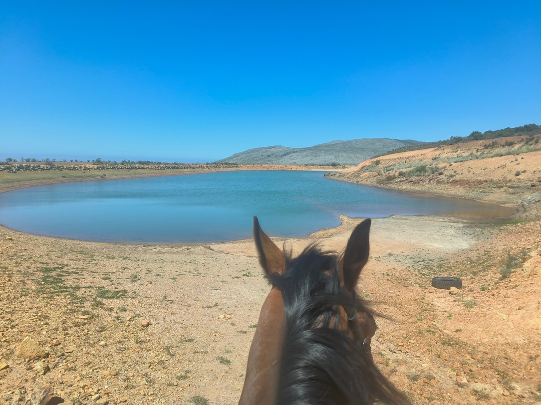 Honingklip Equestrian景点图片