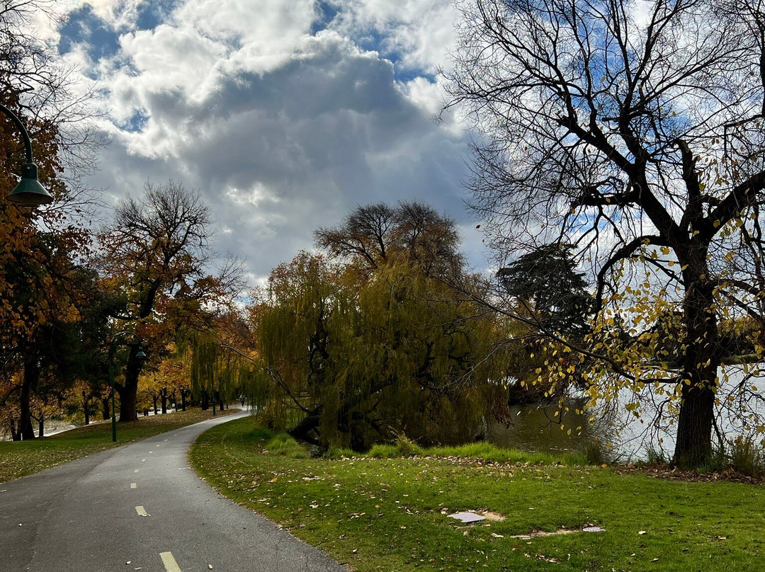 Lake Weeroona景点图片