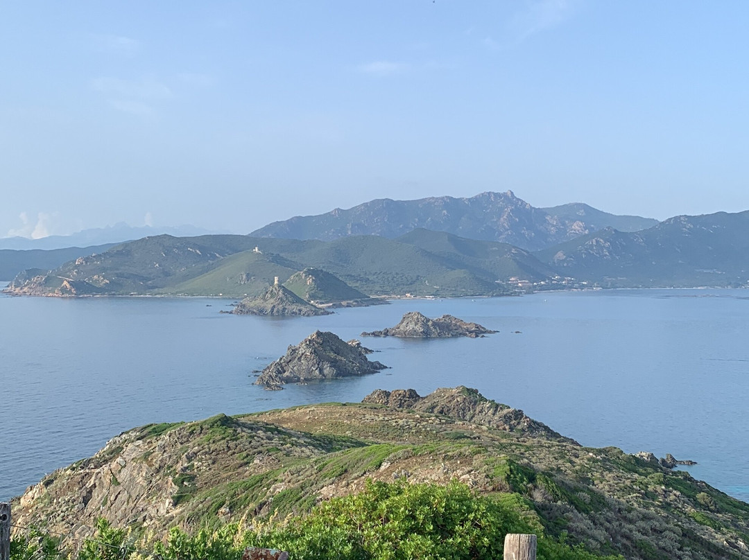 neptune croisière ajaccio-阿雅克肖必去景点