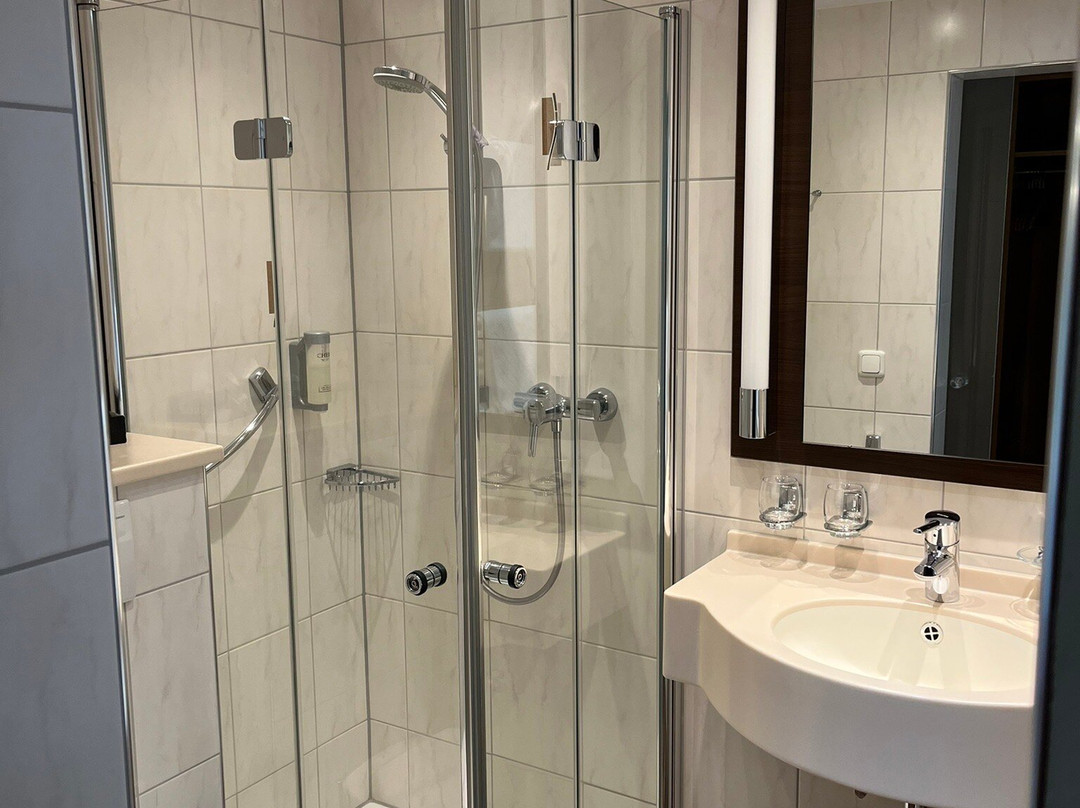 Landidyll Hotel Birkenhof主图