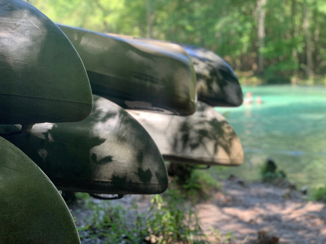 Blue Springs Park景点图片