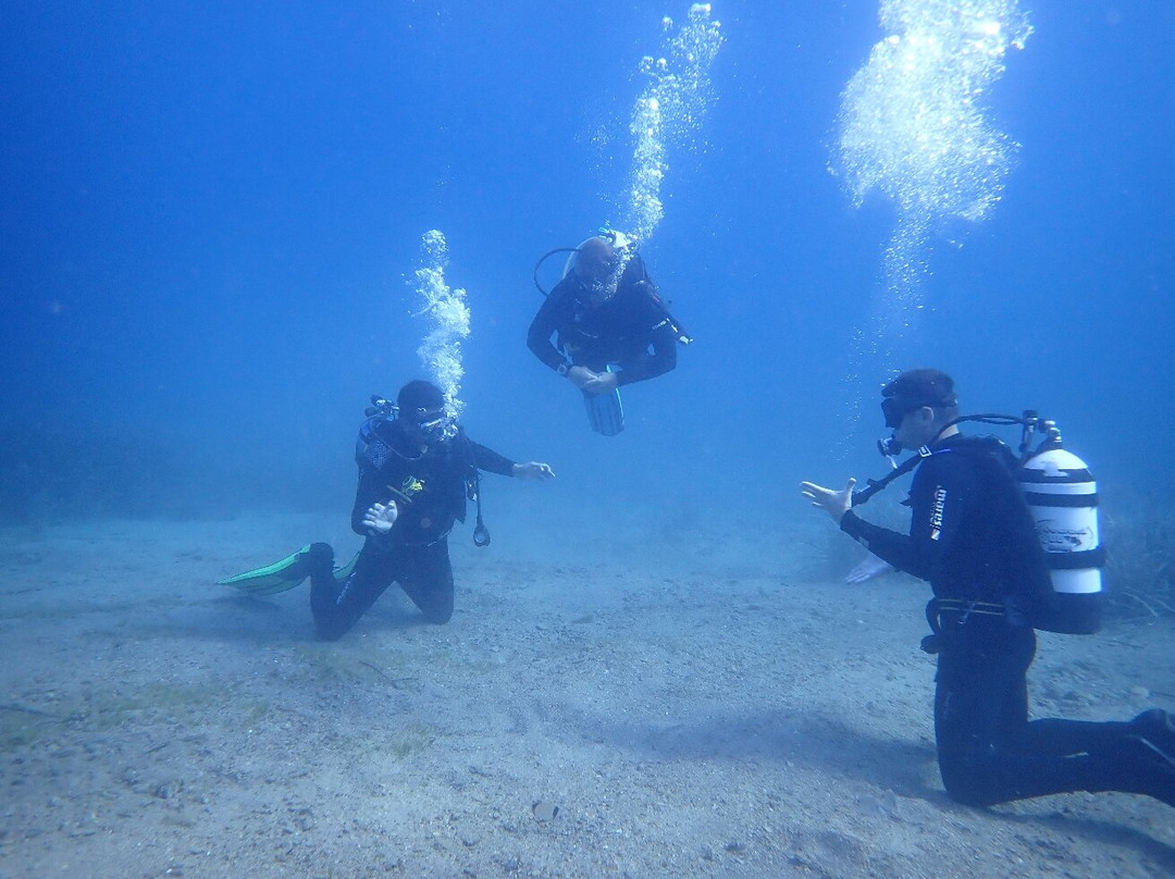 Planet Blue Diving Center景点图片