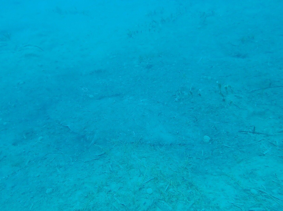 Kos Divers-Psalidi必去景点