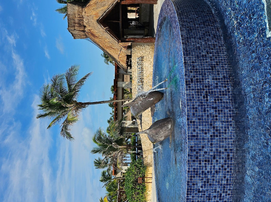 Dolphinaris México景点图片
