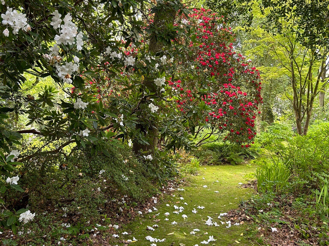 Jardin Le Vasterival景点图片