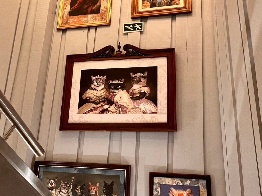 O Gato Comeu-Te A Língua - Leça da Palmeira