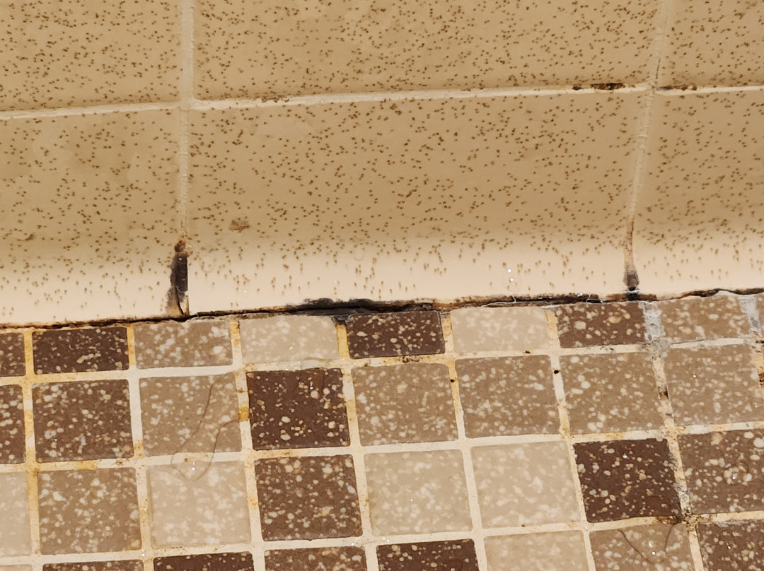 新月湖酒店主图