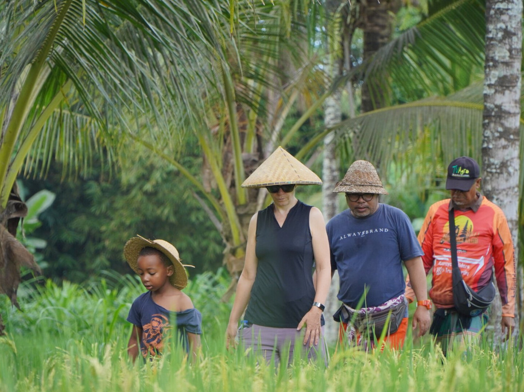 Bali Agritours景点图片