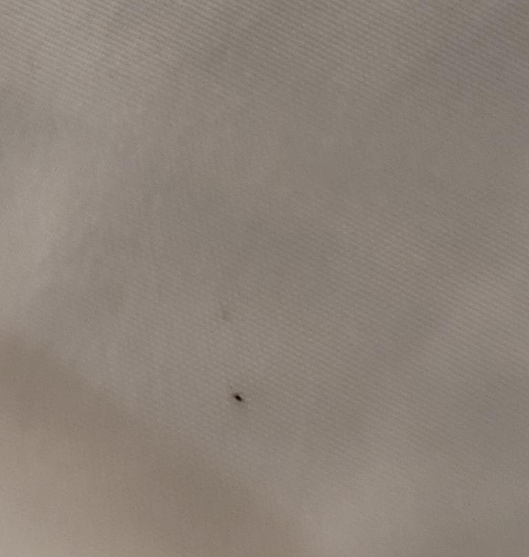 OYO Hotel Chehalis I-5 South主图