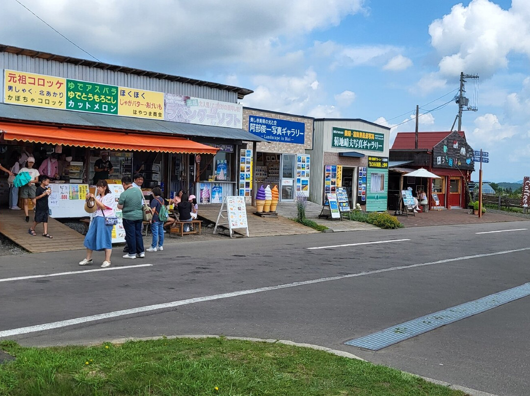 Hokuseino-oka Observatory Park-美瑛町必去景点