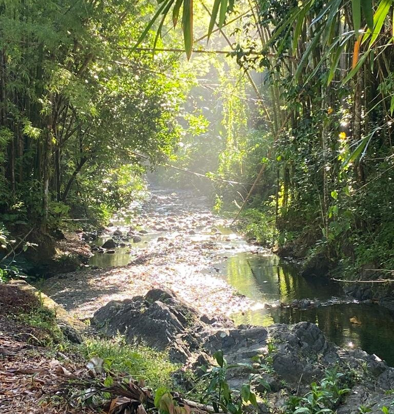 Papa Pedro Wine & Rum-Maricao必去景点
