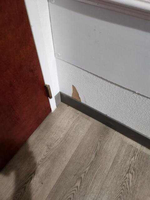 Best Western Plus South Hill Inn主图