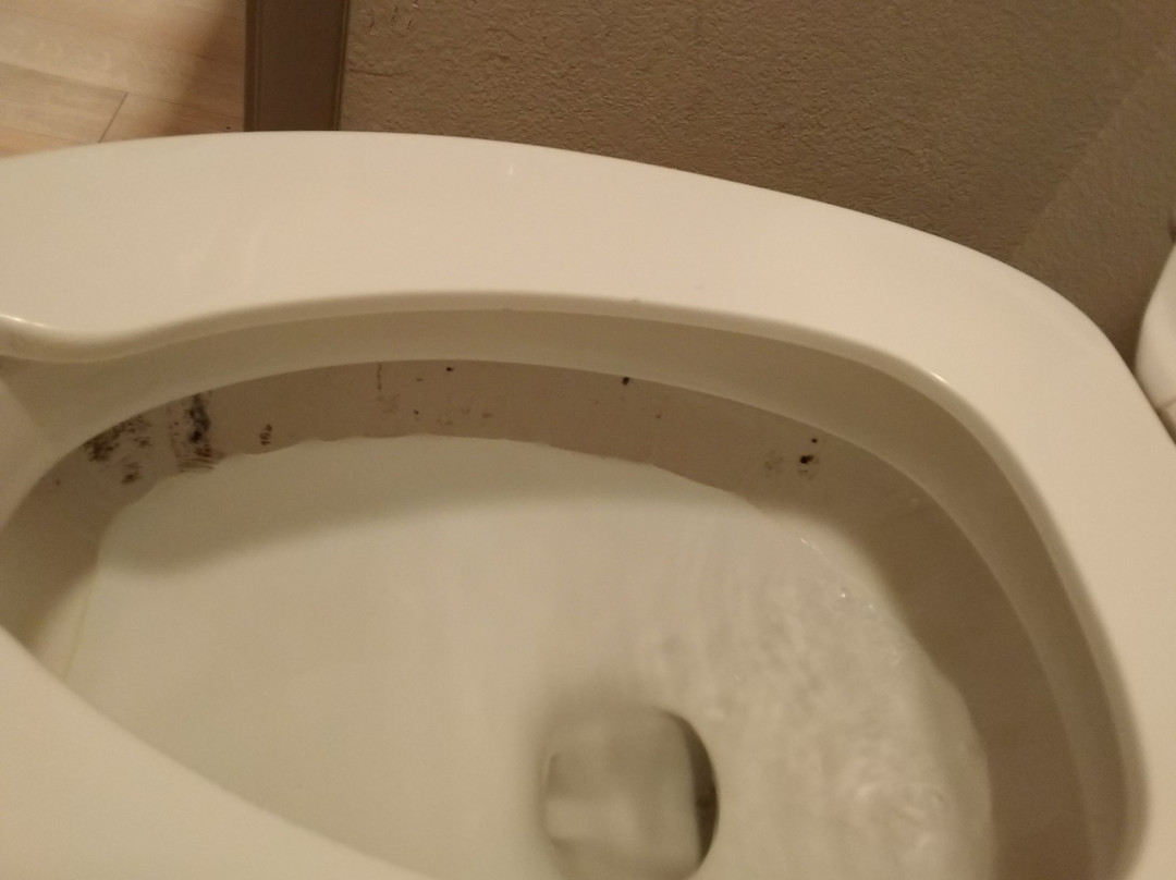 Red Roof Inn Rochester - Henrietta