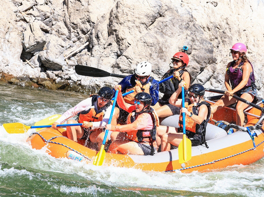 Zoo Town Surfers-Alberton必去景点