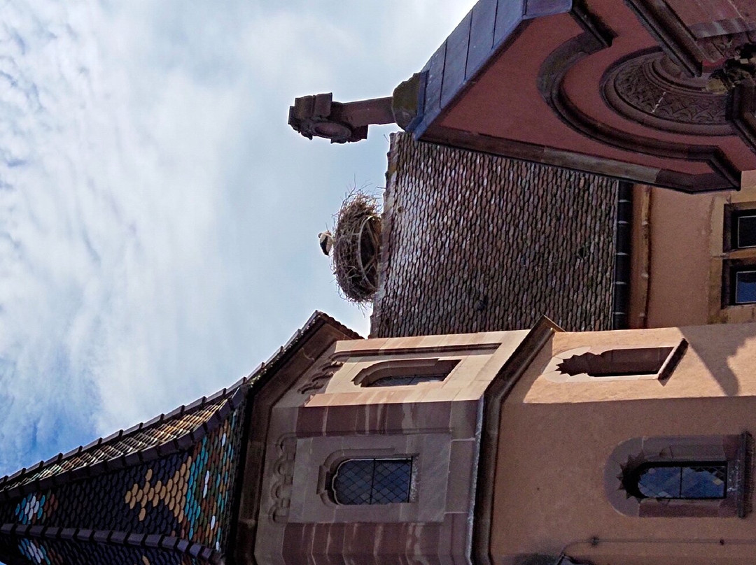 Les Chambres Du Domaine主图