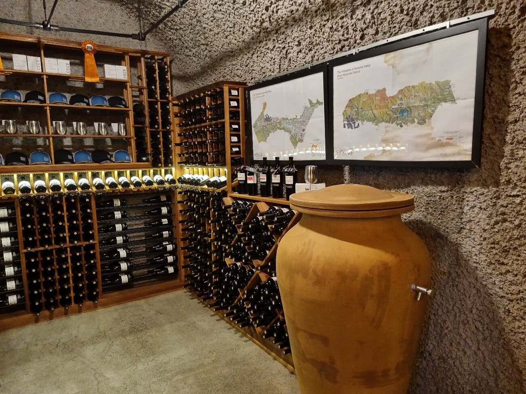 DRNK Wines景点图片